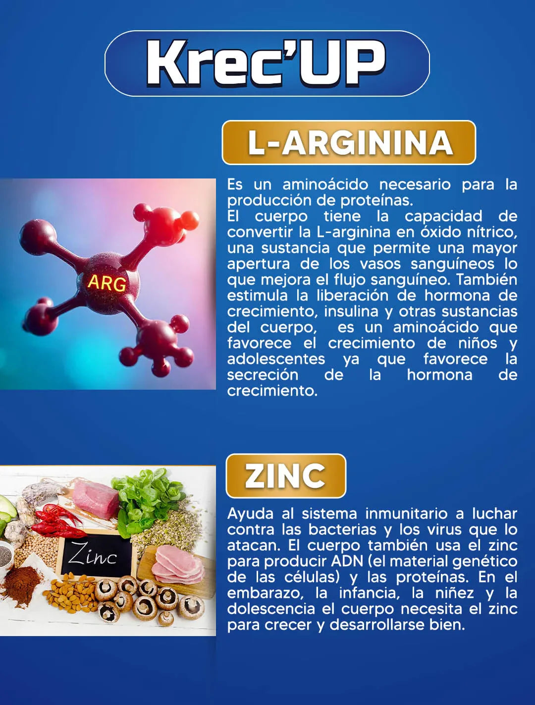 Encabezado