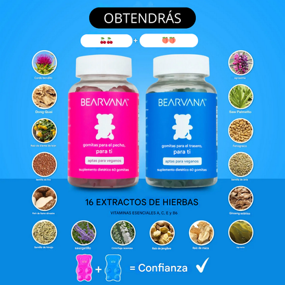 COMBO BEARVANA